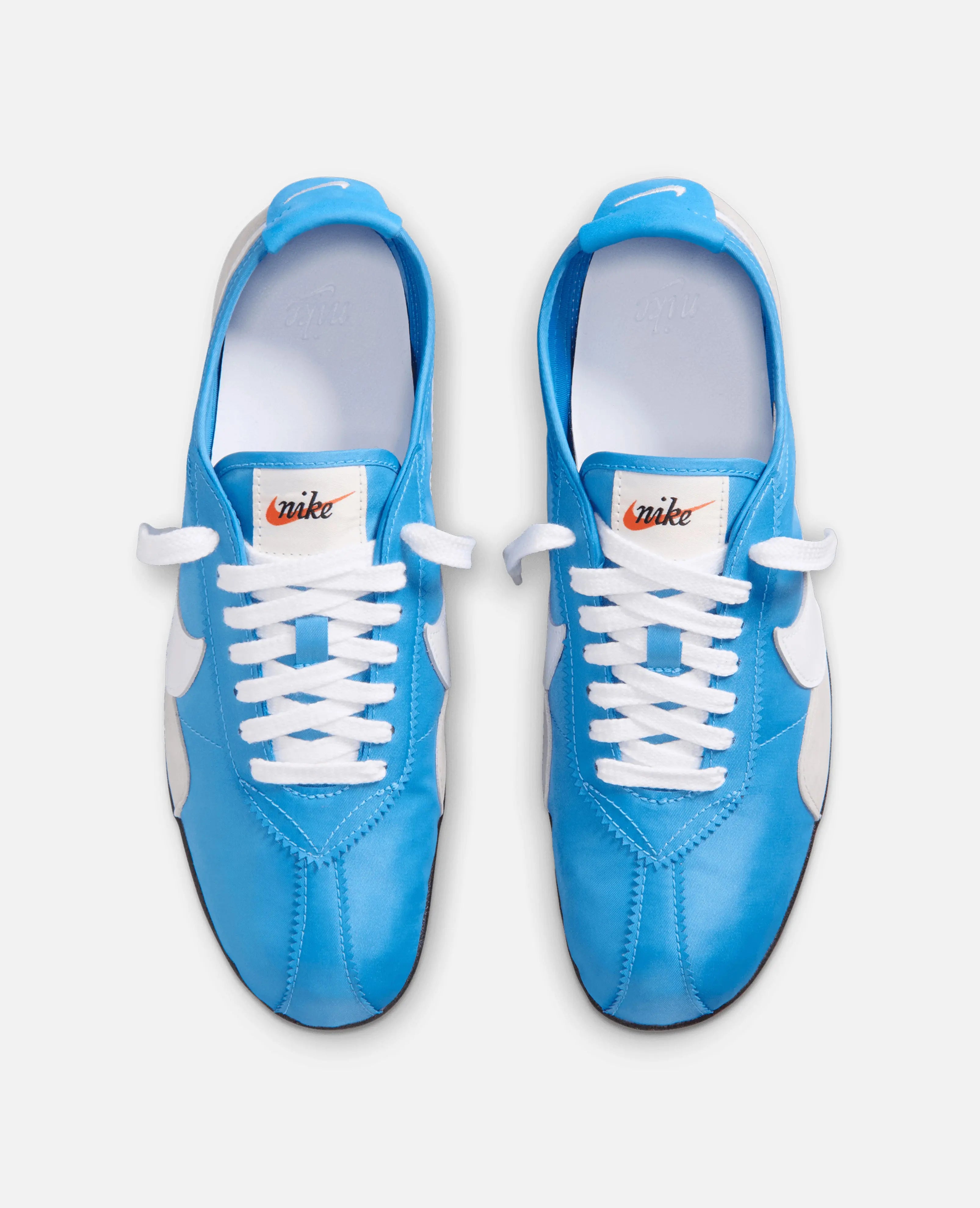 Nike Moon Shoe OG SP (Bleu)