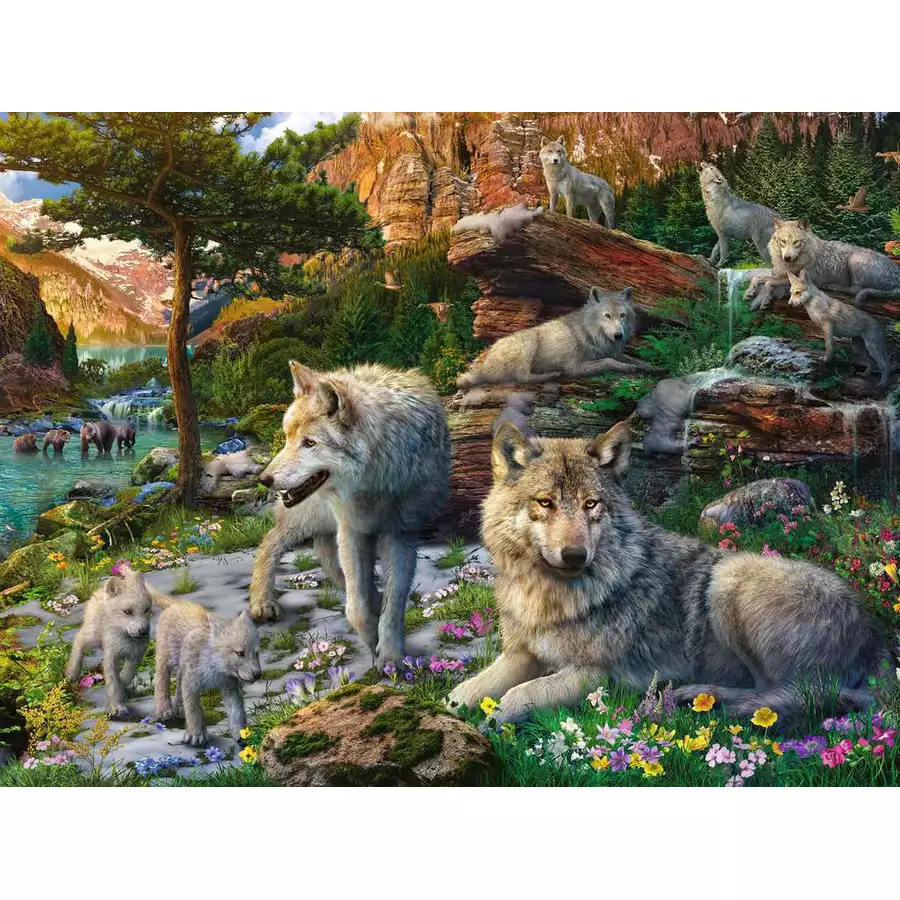 Ravensburger Wolfsrudel im Frühlingserwachen bunt