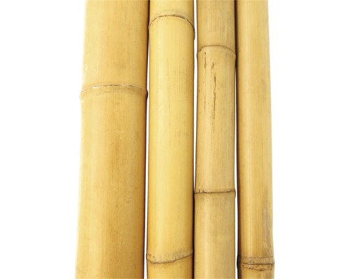 Bamboebuis Ø 4-5 cm, lengte 200 cm
