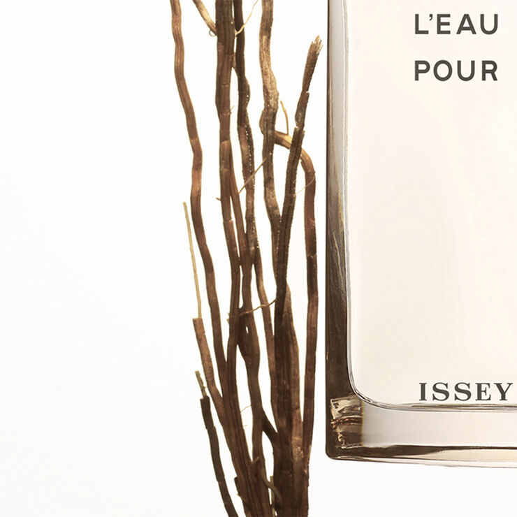 Issey Miyake Vetiver Eau de Toilette Intense
