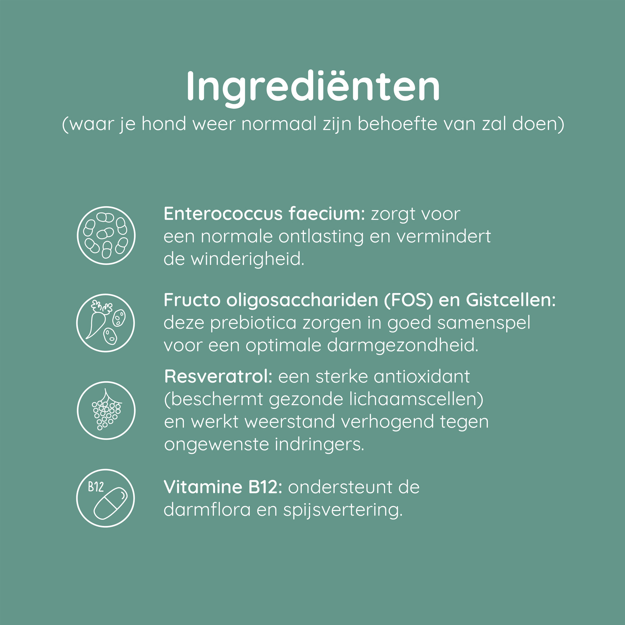 Greenfields Probiotics+