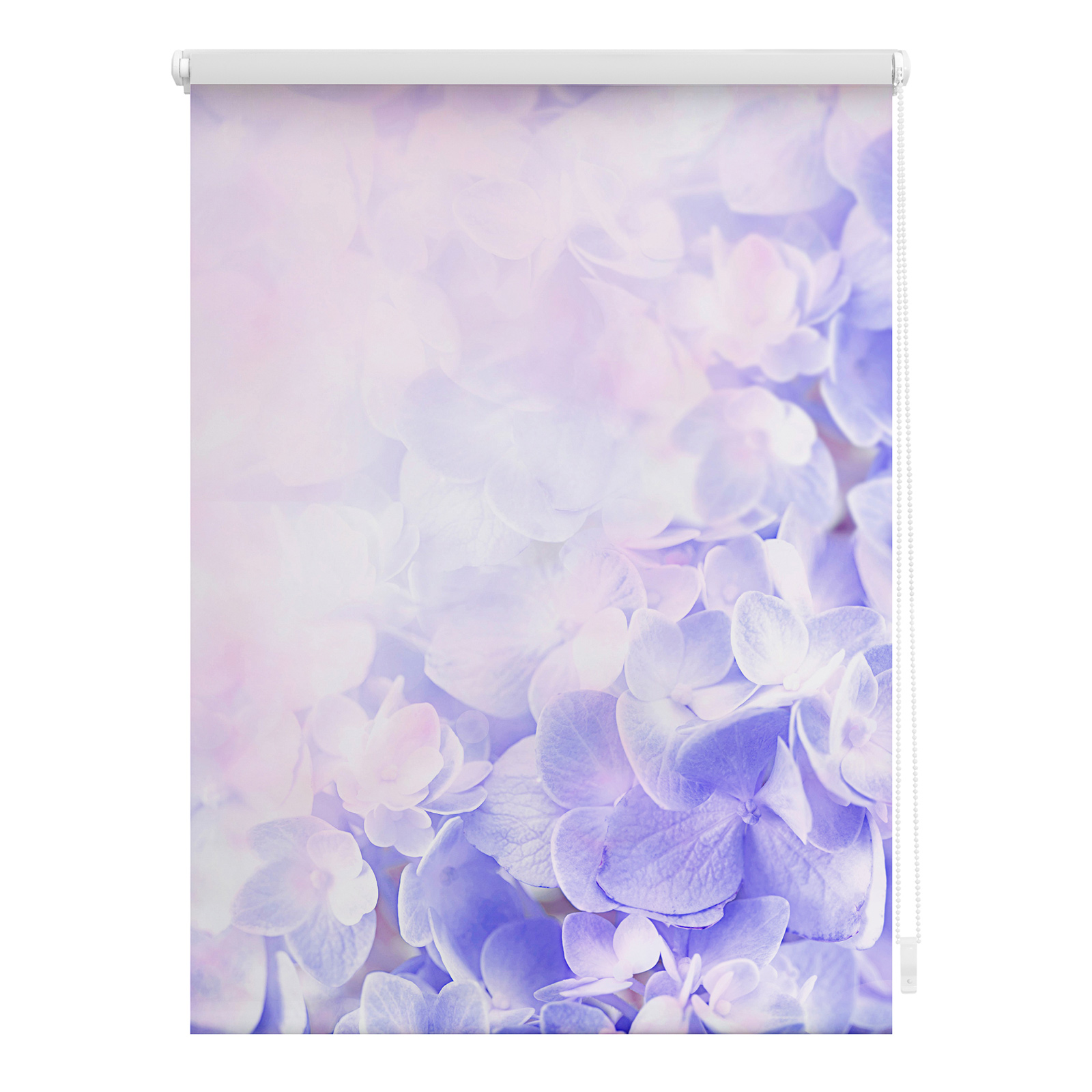 LICHTBLICK Verdunklungsrollo Hortensie - lila - 45x150 cm