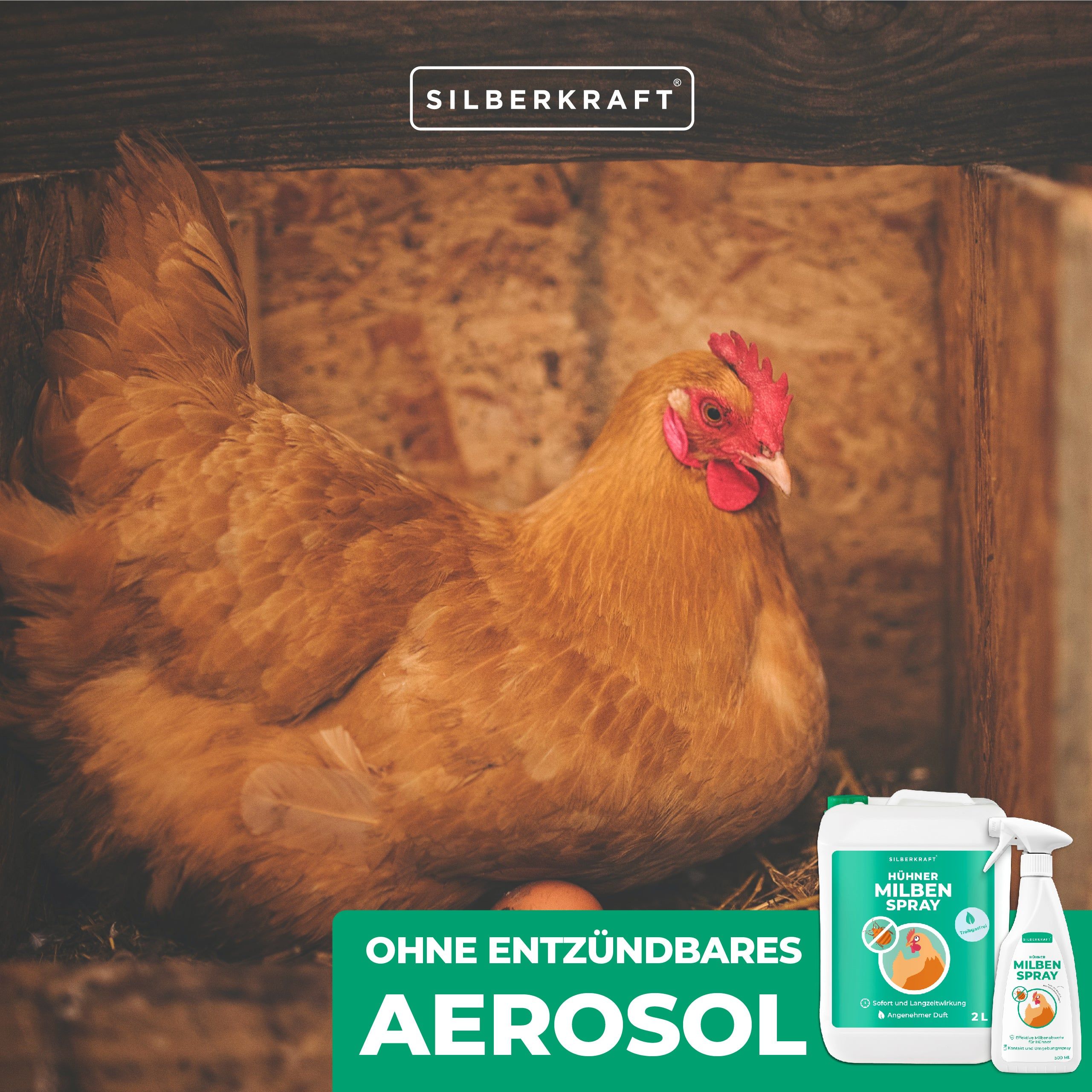 SILBERKRAFT Milbenspray Hühner