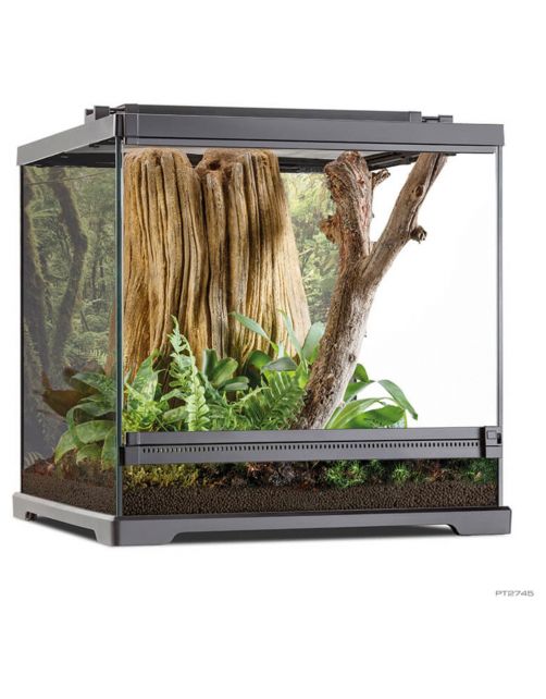 Exo Terra Frog Pijlgifkikker Terrarium - Terraria - 45.7x45x45 cm