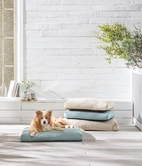 Dehner Lieblinge Kuschelkissen Kenzie,