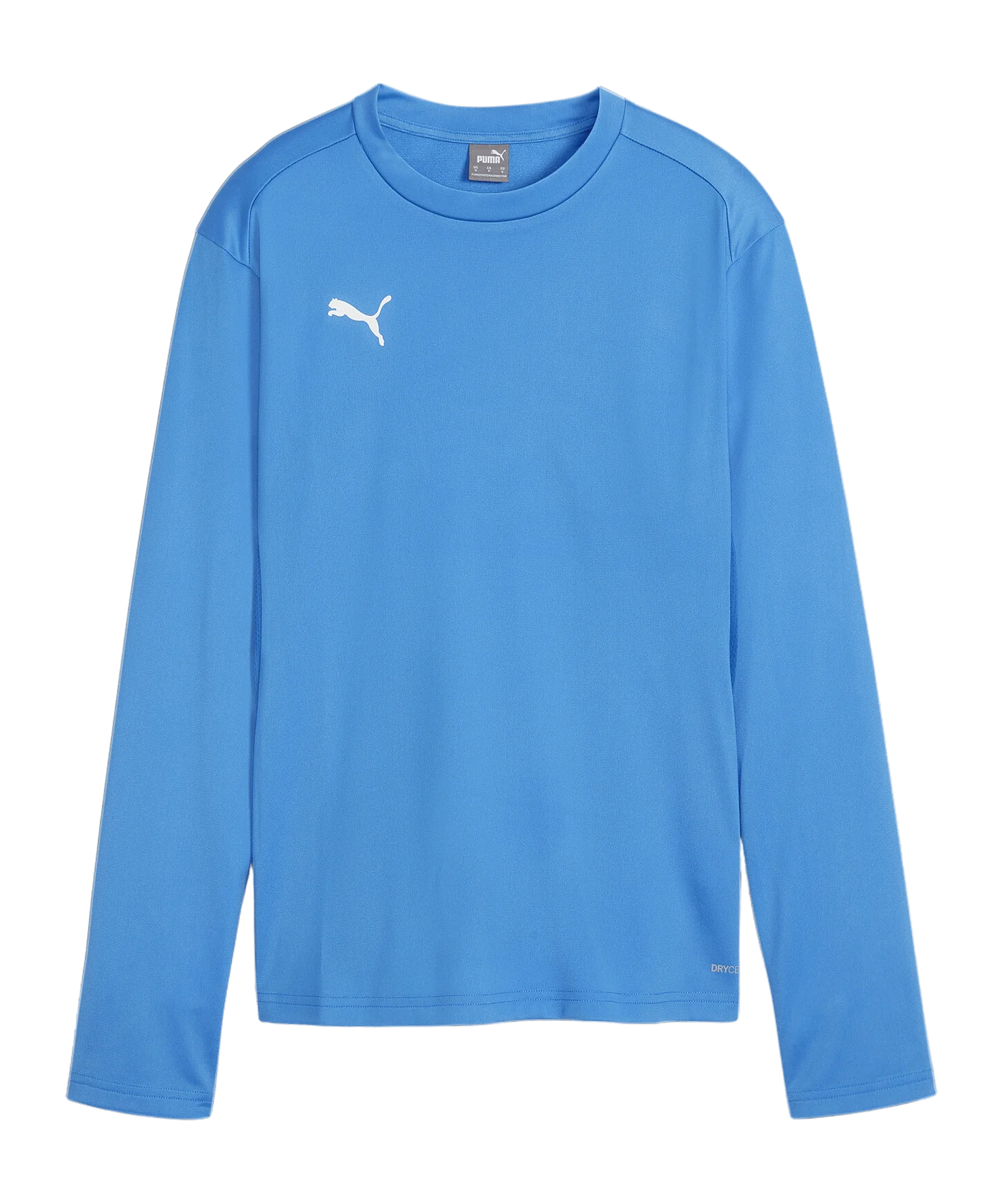 PUMA teamGOAL Training Sweatshirt Damen Blau F01