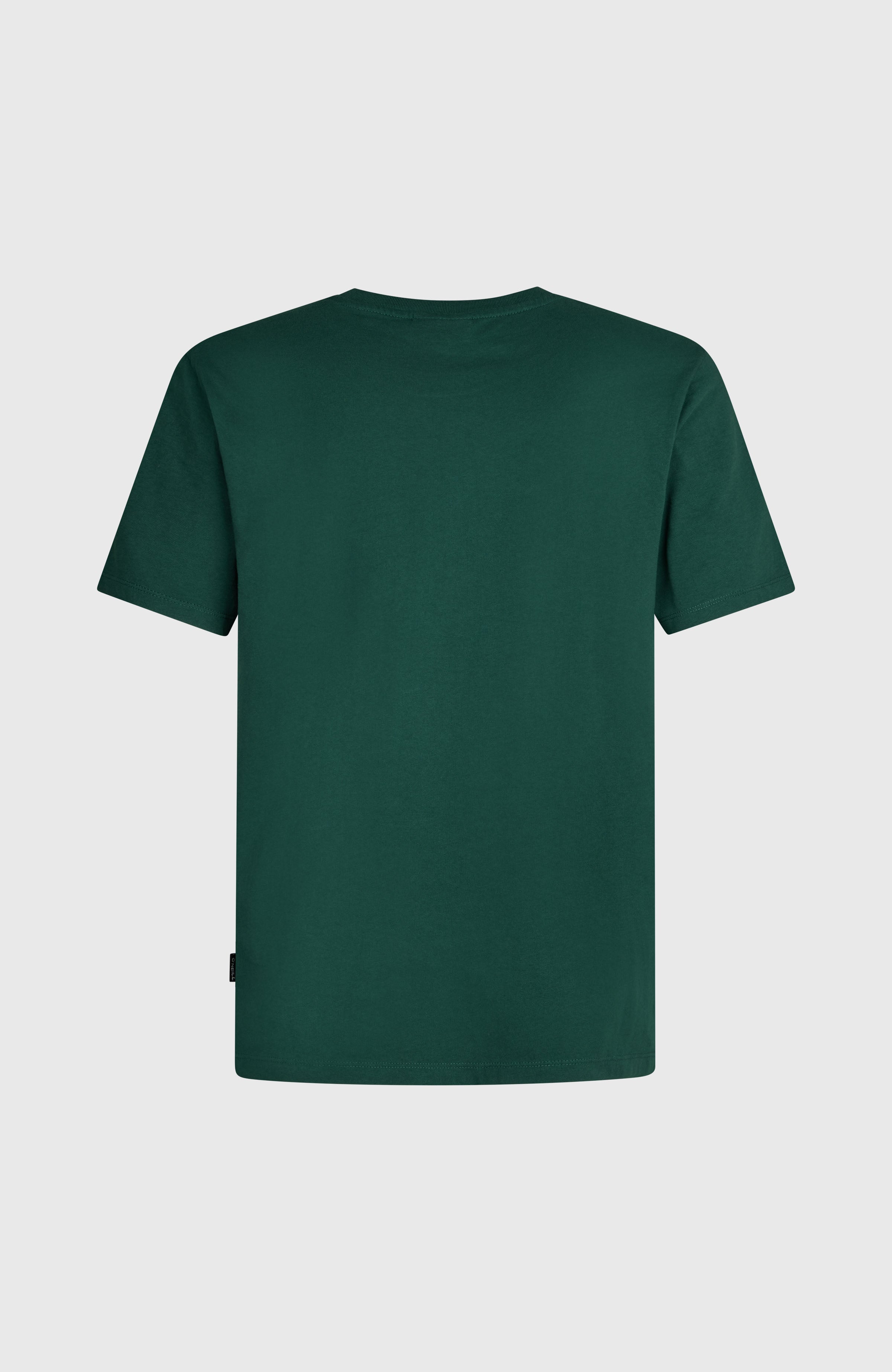 O'NEILL CALI T-SHIRT