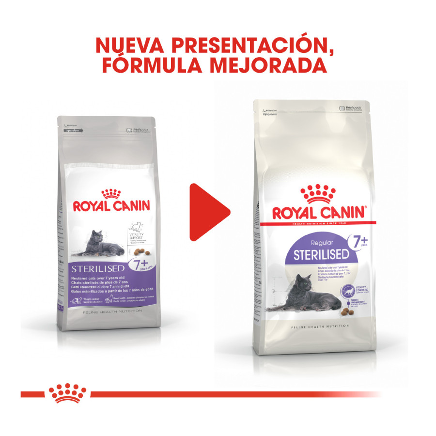 Ração esterilizada Royal Canin Adult 7+ para gatos