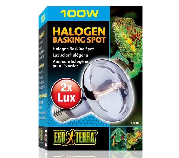 Exo Terra® Halogen Basking Spot