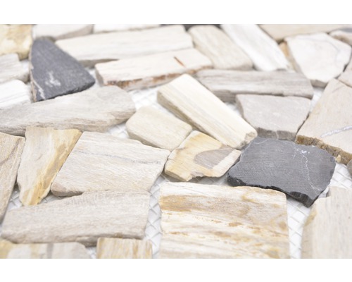 Natuursteen mozaïek gebroken/Ciot mix hout steen fossiel