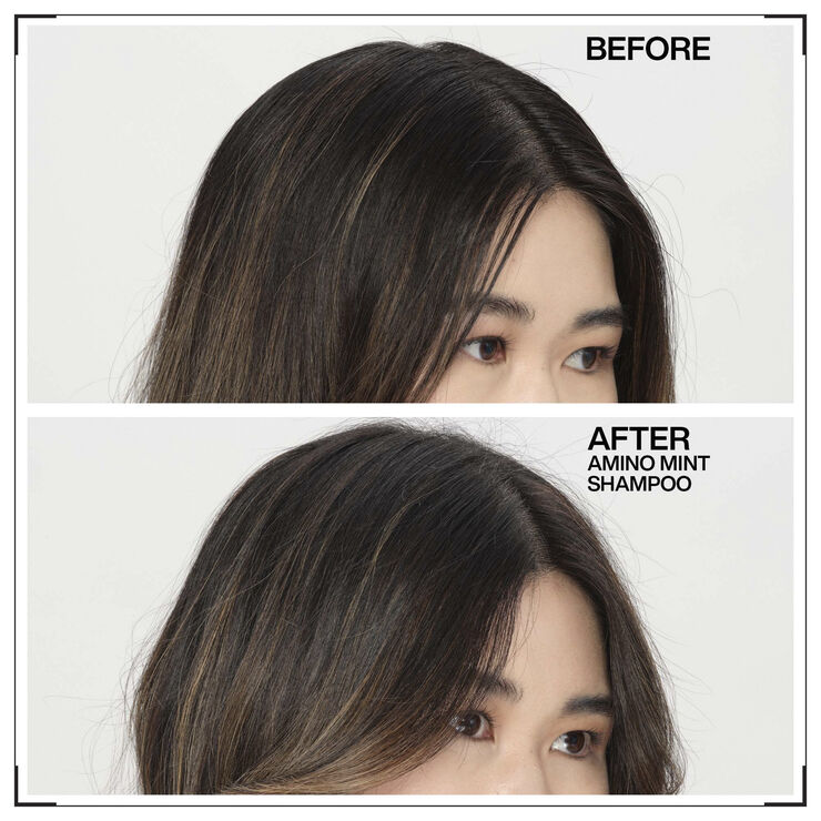 Redken Amino Mint Shampoo