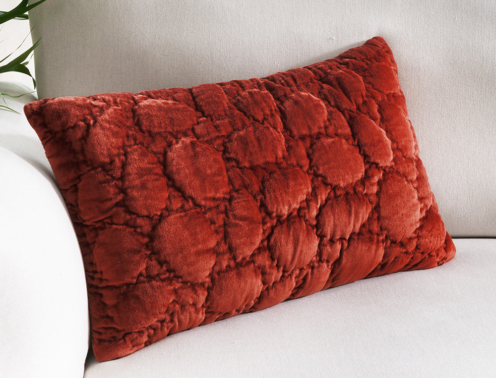 Housse de coussin-Nuit de velours