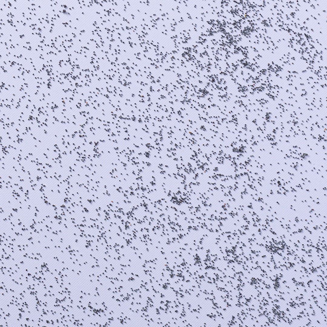 Blauw maanzaad
