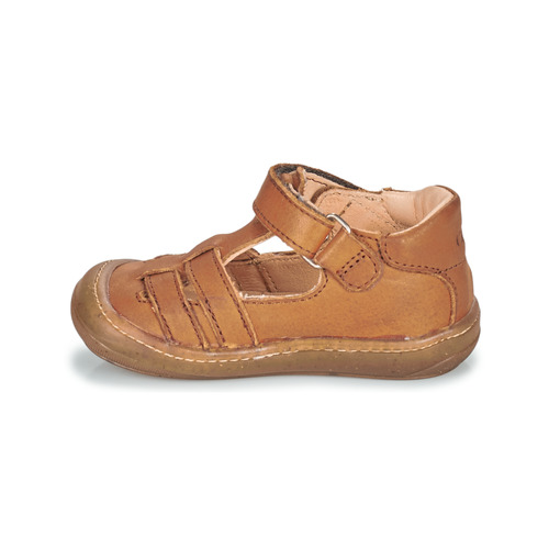 GBB - LIROY FLEX - Marron