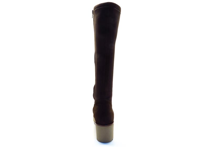 DL Sport 6850 velour cacao
