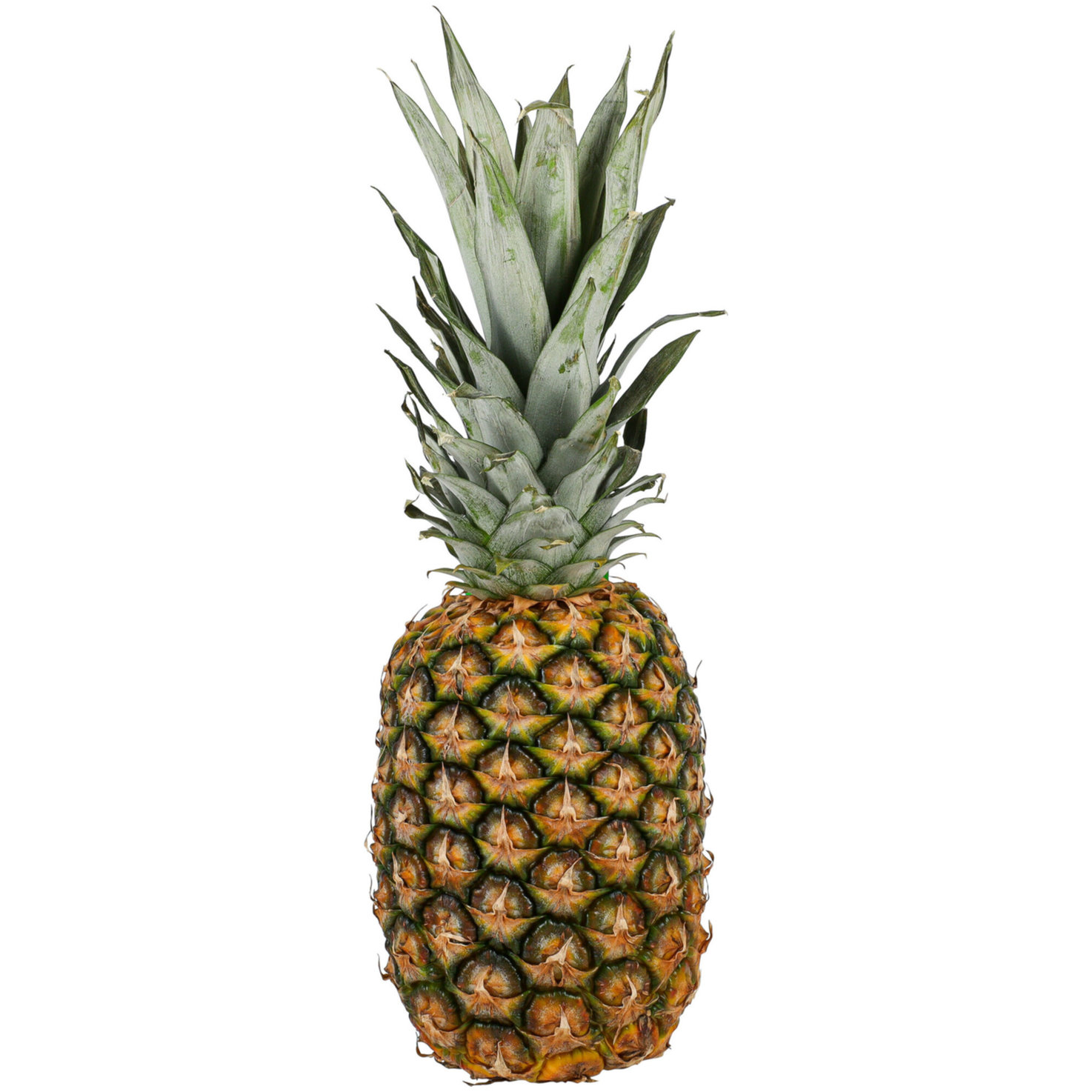 Primagusto Fairtrade Ananas 1 Stück -