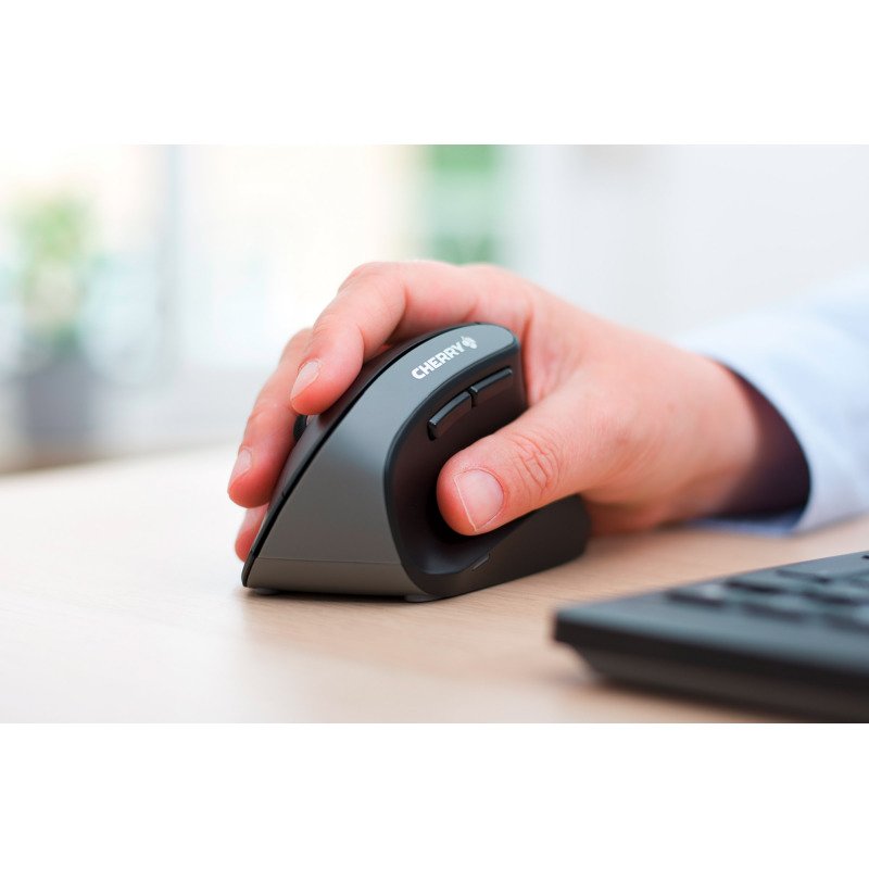 Souris sans fil Cherry MW 4500