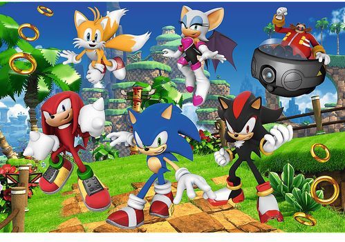 160 stukjes, Sonic & Friends