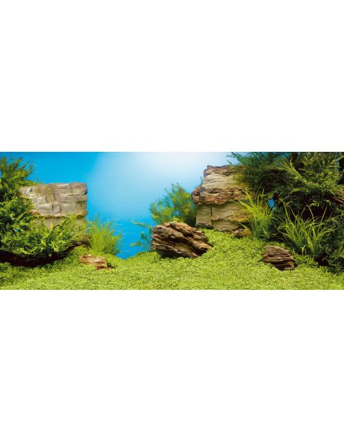 Juwel Achterwand Poster 1 S - Aquarium - Achterwand