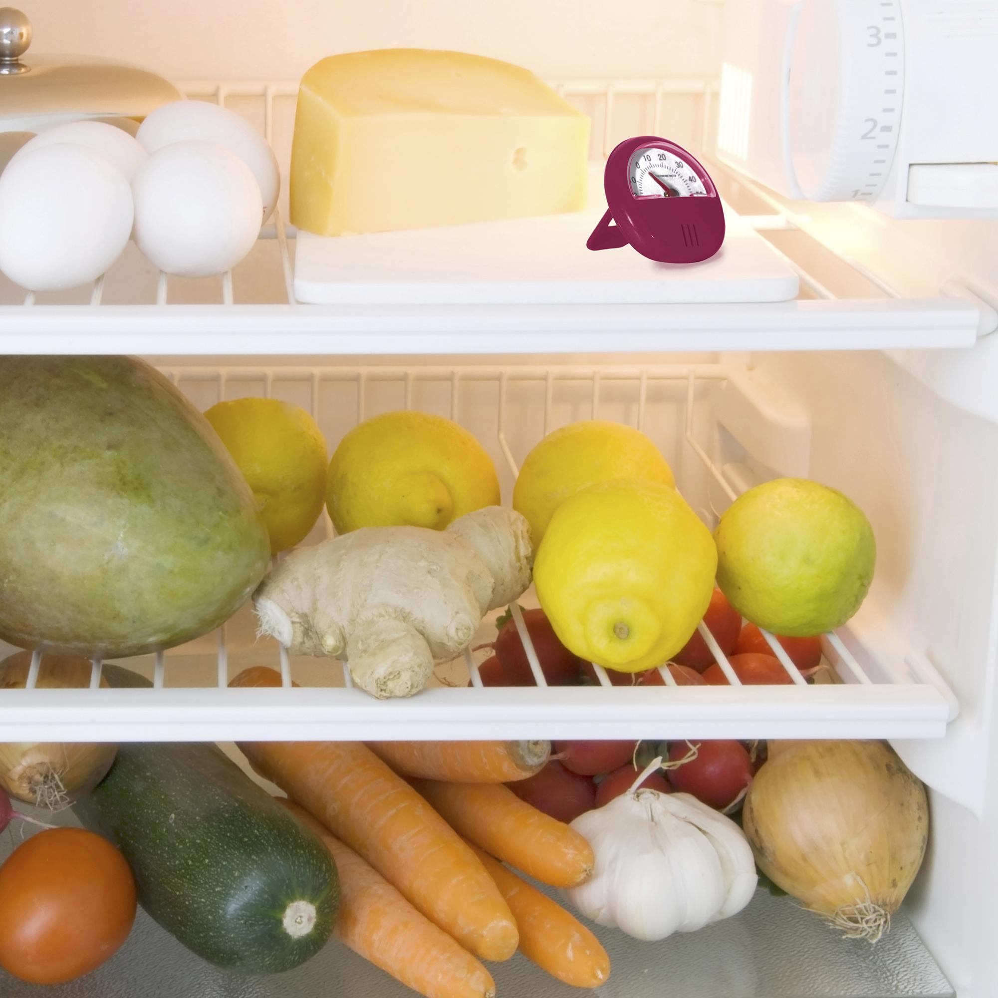 THERMOMETRE DE FRIGO AIMANTE