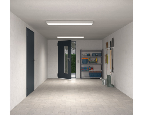 Hörmann multifunctionele kelderdeur met glaspaneel, RAL 7016 antracietgrijs, 1000x2000 mm, omkeerbaar (links/rechts), incl. matglas