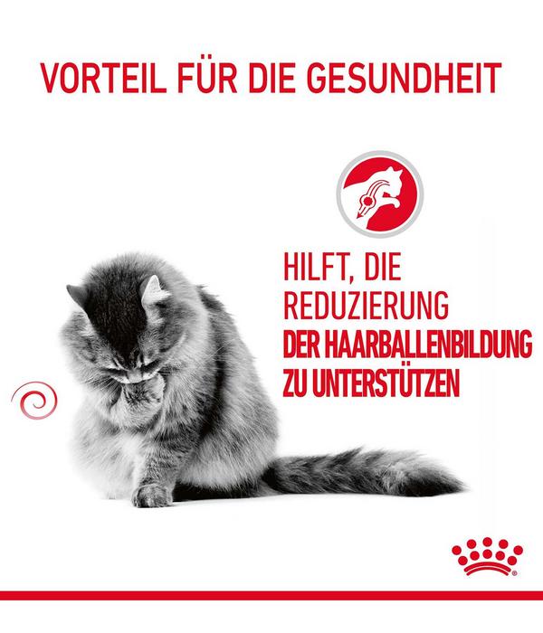 ROYAL CANIN® Trockenfutter für Katzen