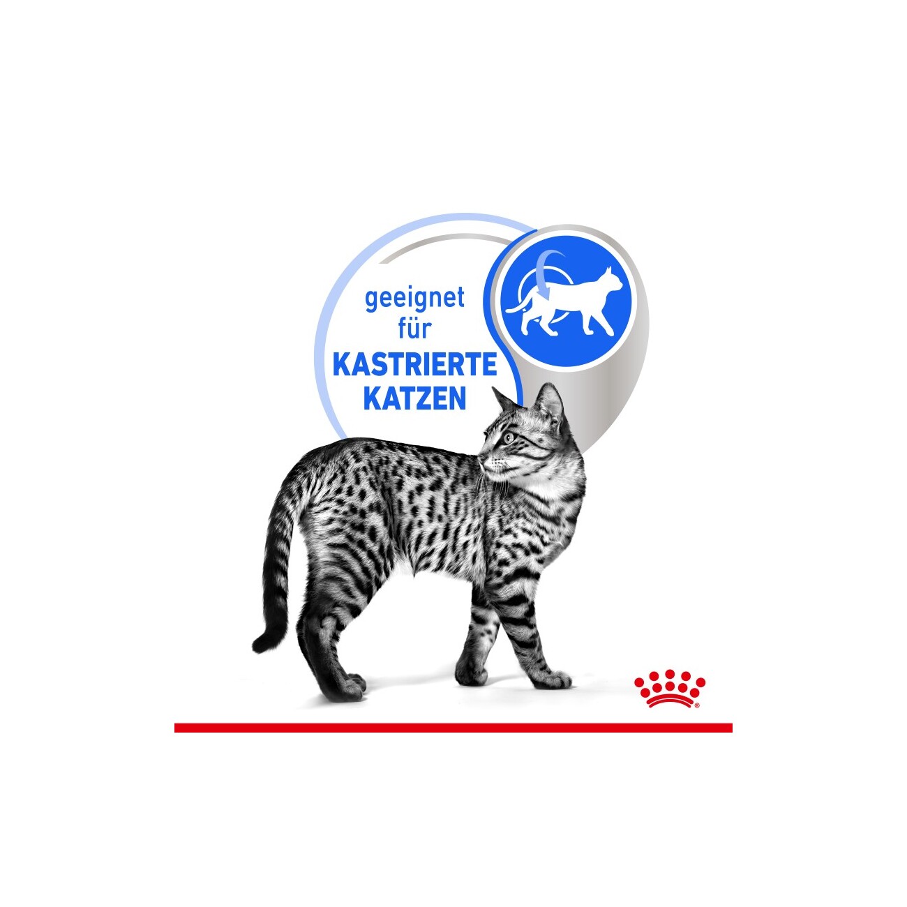 ROYAL CANIN Indoor 7+ Sterilised in Gelee 12x85 g