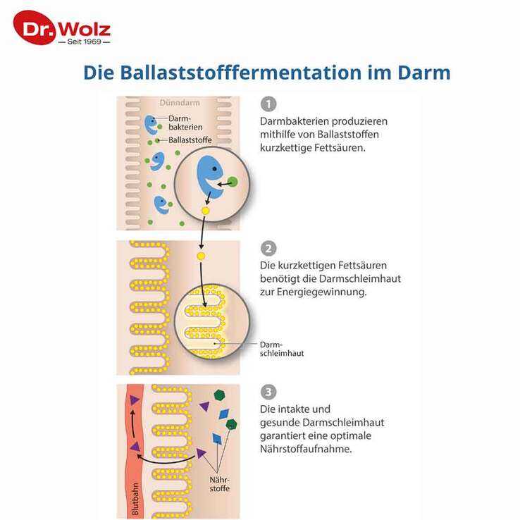 Curabiom flora duo Kombipackung, 1 P