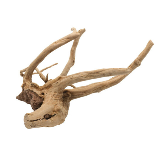 Décoration flottante Bois Driftwood poli Aqua Della