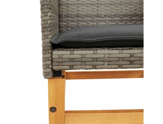 VIDAXL - Chaises de jardin coussins lot de 2 gris résine tressée et b...