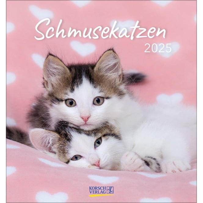 Postkartenkalender - 2025 - Schmusekatzen