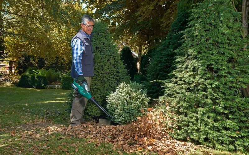 Bosch ALB 36 LI - Bladblazer - Met 36 V accu en lader