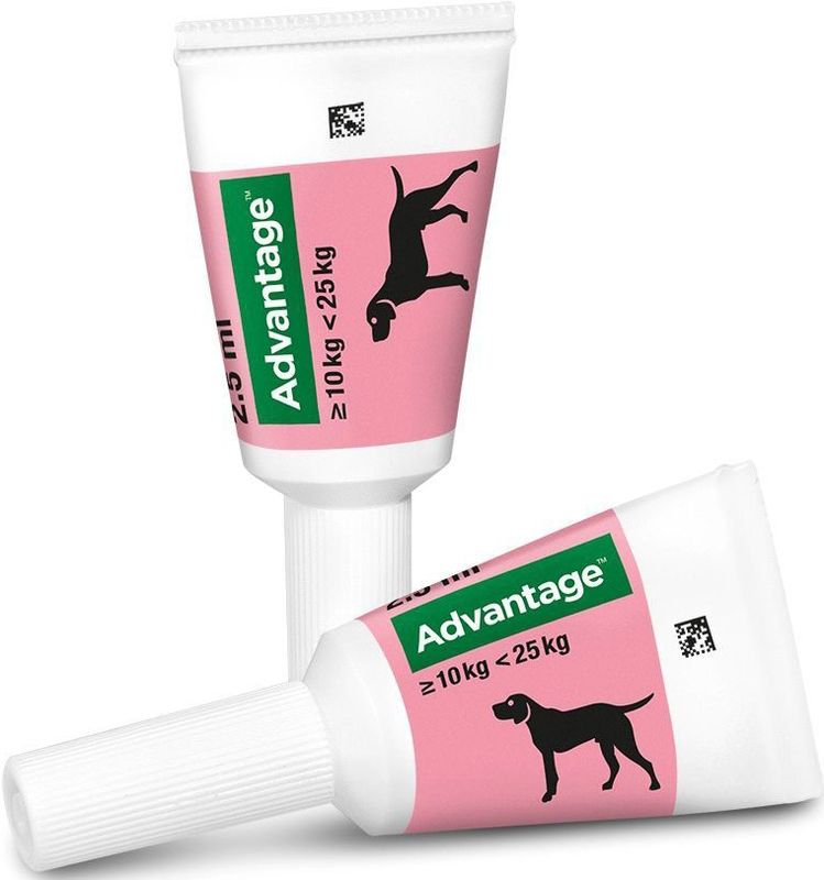 Bayer Advantage 250 Vlooiendruppels Hond 10-25 kg - 4 Pipetten