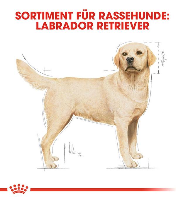 ROYAL CANIN® Trockenfutter für Hunde