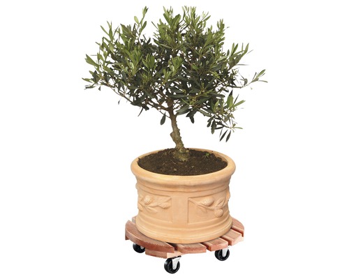 Wagner Toscane plantenwagen, grenen, Ø 38 cm, draagvermogen 150 kg