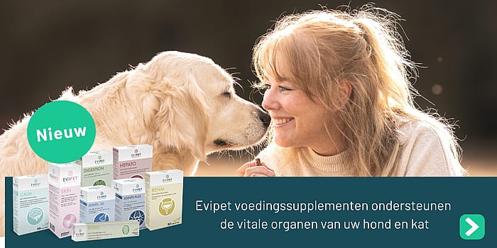 Evipet Joints Plus Gewrichten Hond 60 tabletten | 12989