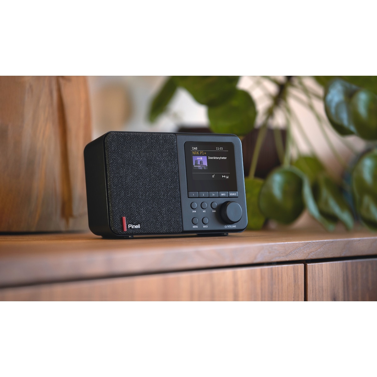 Pinell Supersound 001 digital radio (sort)