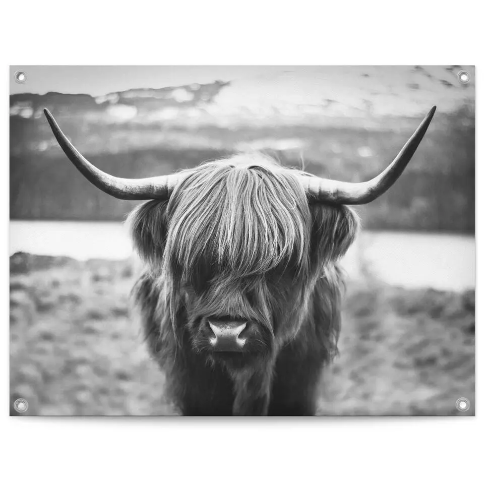 Tuinposter Schotse Hooglander - 60x80cm - Zwart-Wit