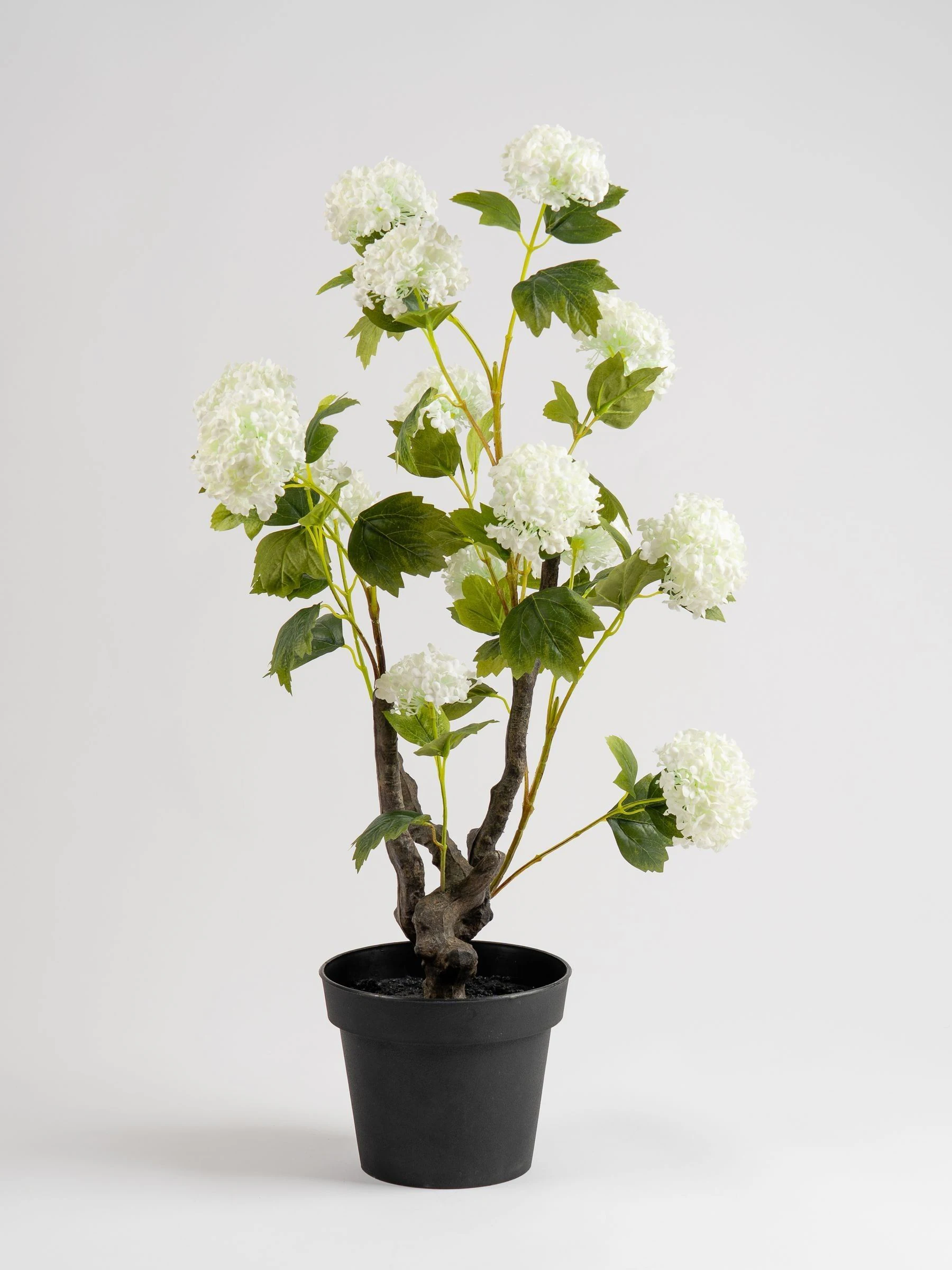 Scottish Everlastings Ltd Artificial Potted Hydrangea Plant