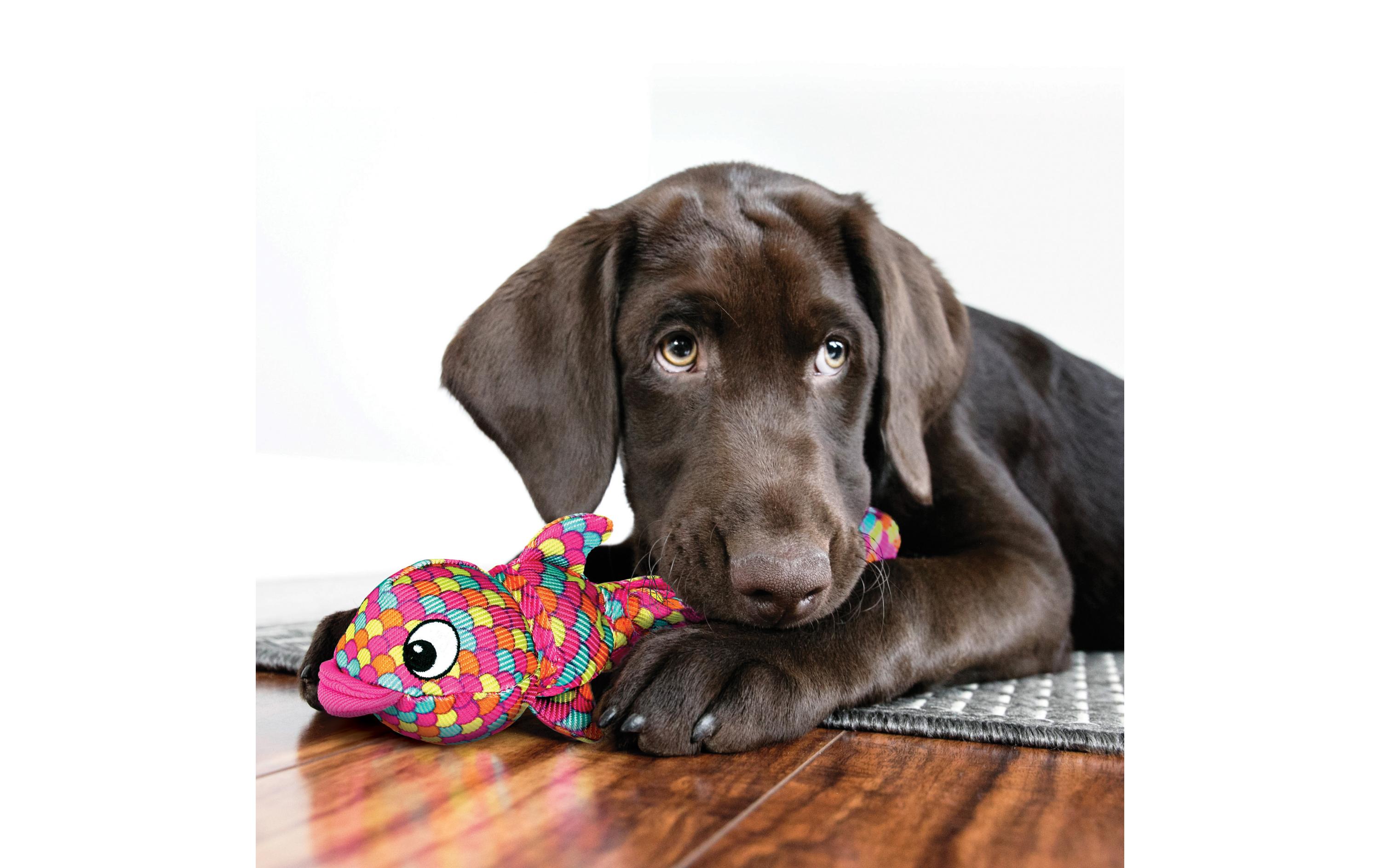 Hunde-Spielzeug Wubba Finz Fisch L, blauApportierspielzeug für ihren Vierbeiner