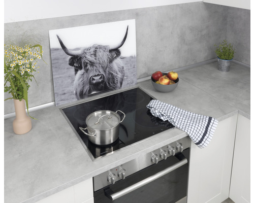 Glazen achterwand Wenko Highland Cattle 60 x 50 cm