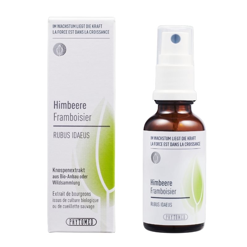 PHYTOMED Knospenextrakt liq Himbeere Spr 30 ml