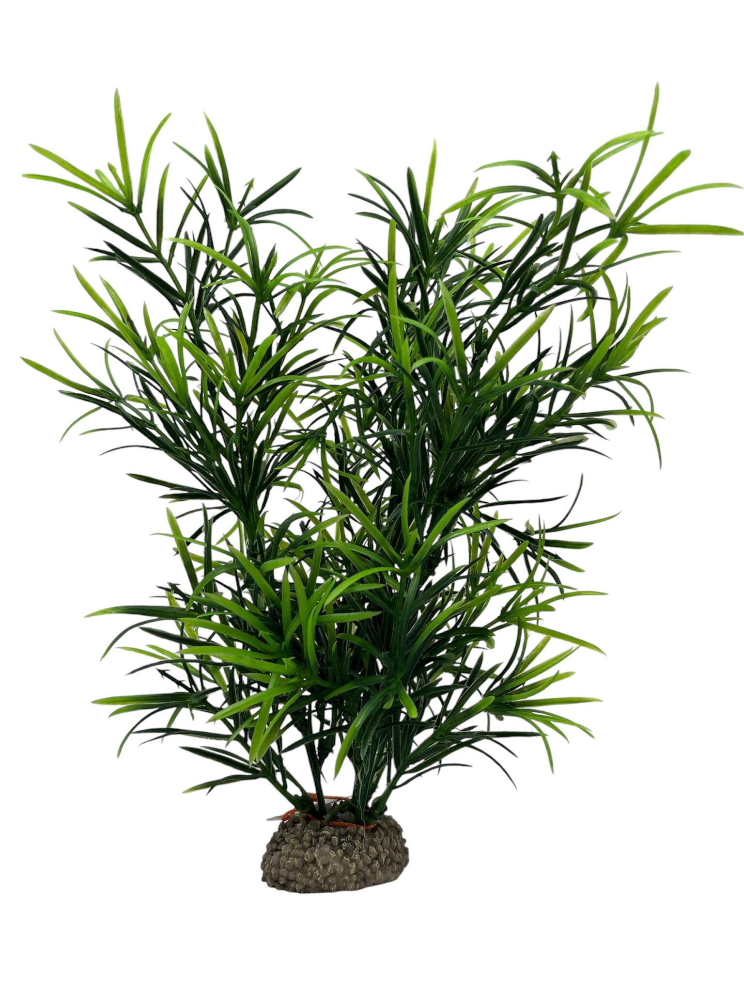 Plant Hydrilla 27cm