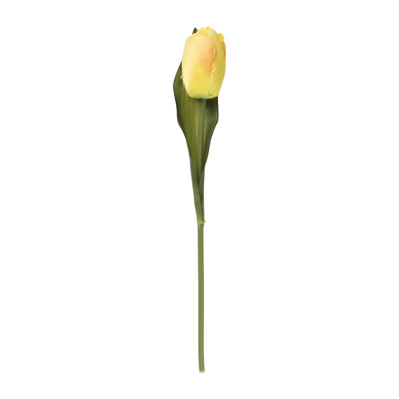 Tulp - diverse varianten - 30 cm