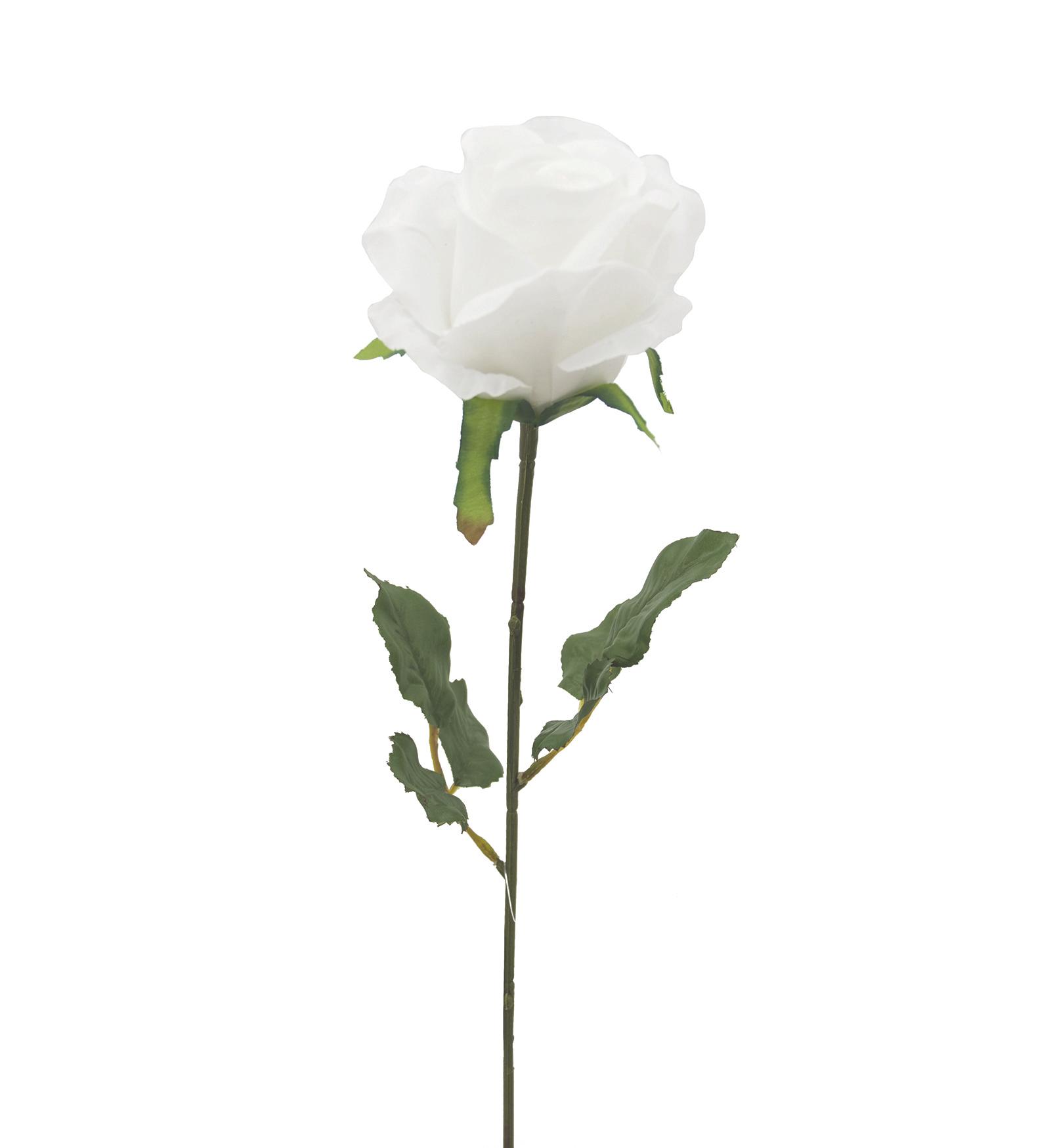 TIGE ROSE H.72CM BLANC