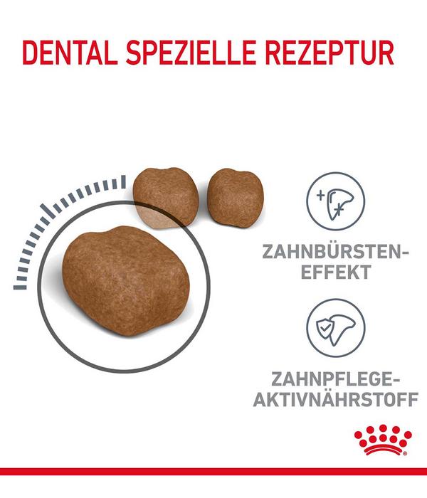 ROYAL CANIN® Trockenfutter für Katzen Dental