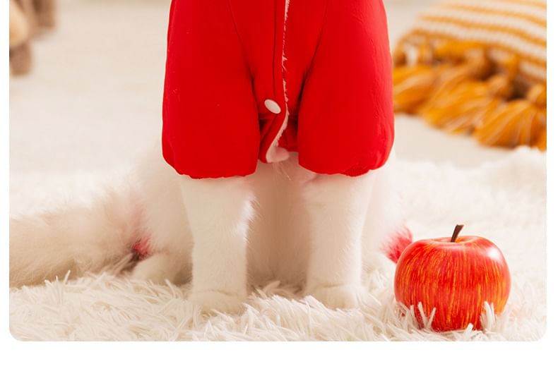 Cissilli - Letterapplicatie Pet Overall met capuchon