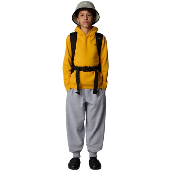 Sweatshirt THE NORTH FACE TEEN BOX NSE REGULAR P/O HOODIE SUMMIT GOLD
