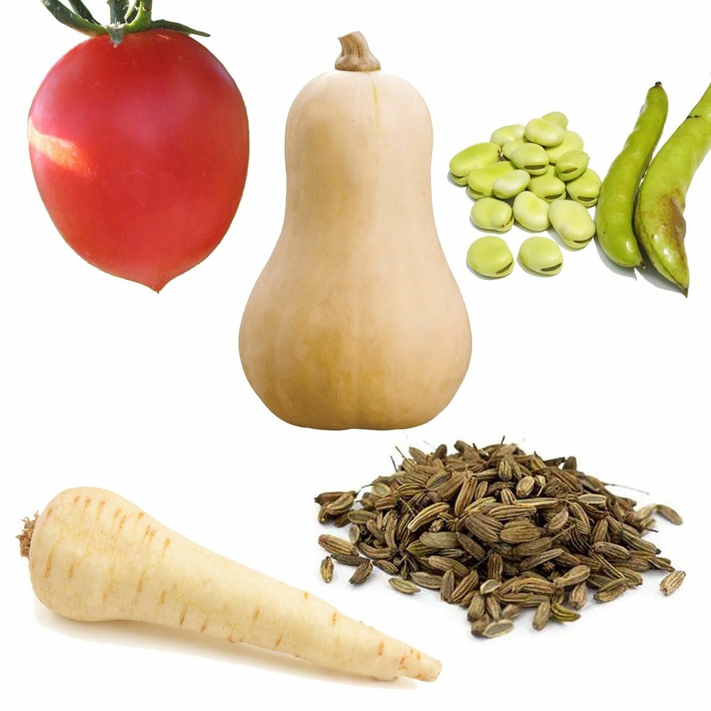 Coffret graines à semer légumes oubliés