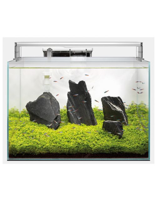 Superfish Scaper 60 - Aquaria - 50x35x35 cm 60 l Transparant